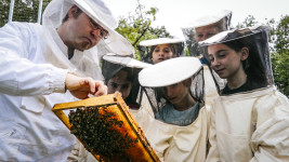 Zu Besuch bei einem Imker